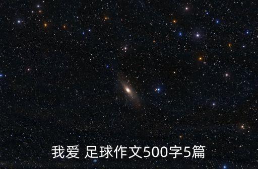 我愛 足球作文500字5篇