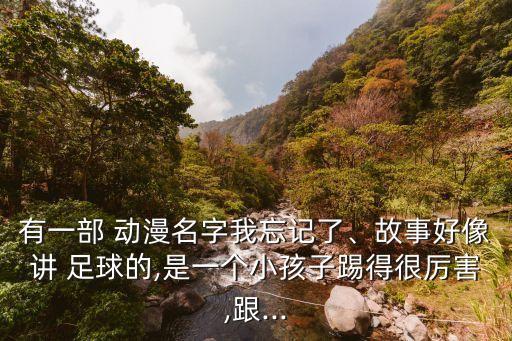 有一部 動(dòng)漫名字我忘記了、故事好像講 足球的,是一個(gè)小孩子踢得很厲害,跟...