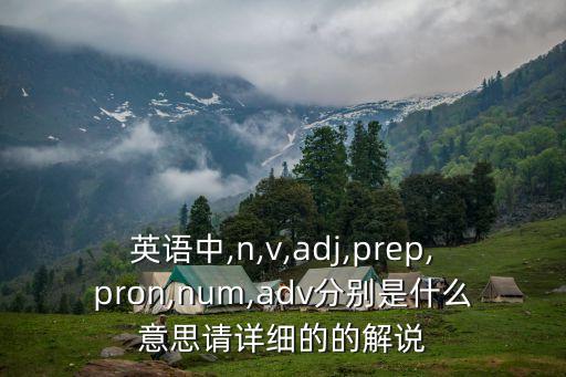 英語中,n,v,adj,prep,pron,num,adv分別是什么意思請(qǐng)?jiān)敿?xì)的的解說