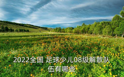 2022全國(guó) 足球少兒08級(jí)解散隊(duì)伍有哪些