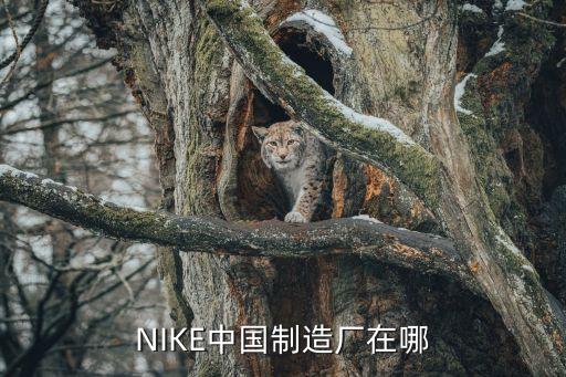 廣州最大足球nike,廣州足球最厲害的小學