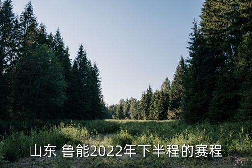 山東 魯能2022年下半程的賽程