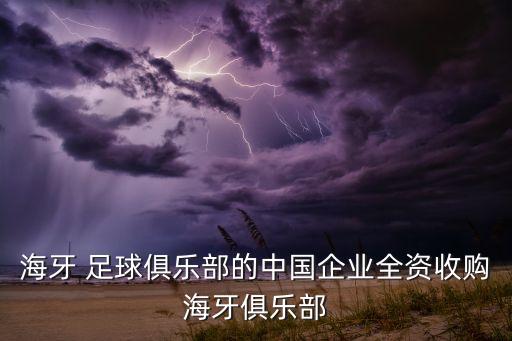 海牙 足球俱樂(lè)部的中國(guó)企業(yè)全資收購(gòu)海牙俱樂(lè)部