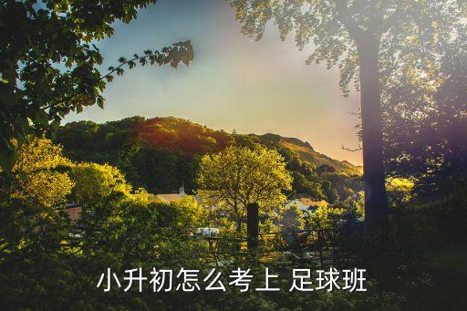 山西足球招生簡章,安徽師范大學(xué)足球?qū)嶒?yàn)班招生簡章