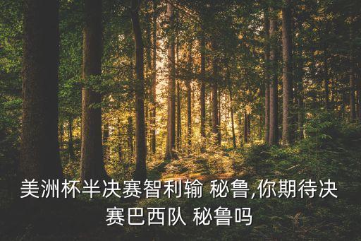 美洲杯半決賽智利輸 秘魯,你期待決賽巴西隊(duì) 秘魯嗎