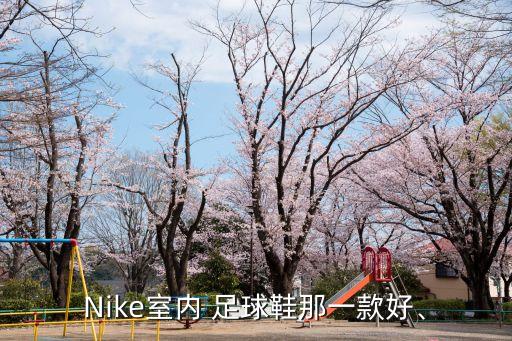 Nike室內(nèi) 足球鞋那一款好、