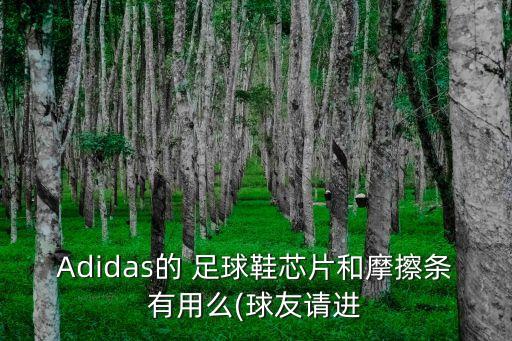 Adidas的 足球鞋芯片和摩擦條有用么(球友請進