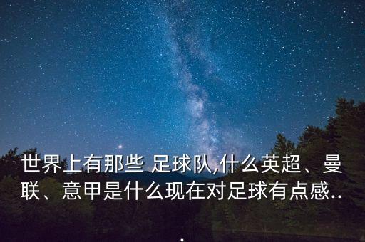 世界上有那些 足球隊,什么英超、曼聯(lián)、意甲是什么現(xiàn)在對足球有點感...