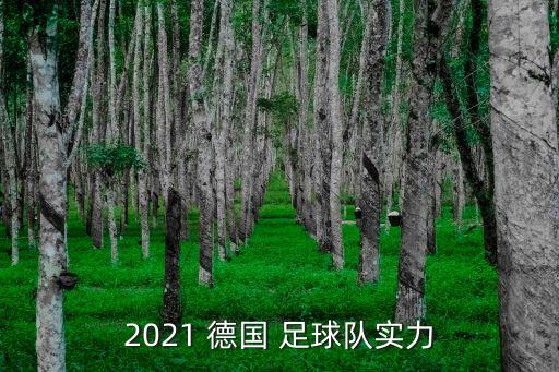 2021 德國 足球隊(duì)實(shí)力