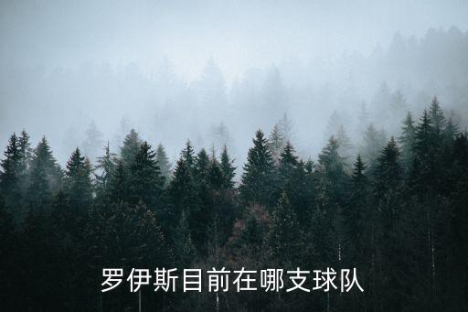 羅伊斯目前在哪支球隊