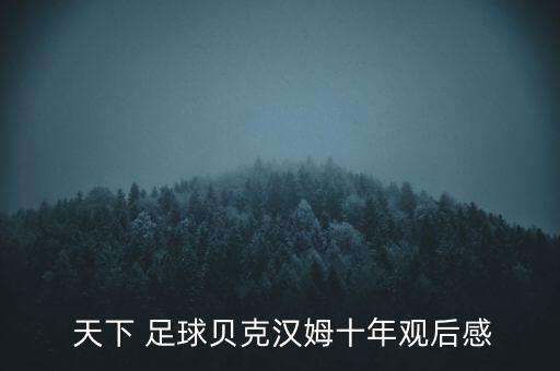  天下 足球貝克漢姆十年觀后感