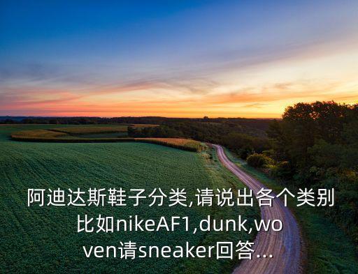  阿迪達斯鞋子分類,請說出各個類別比如nikeAF1,dunk,woven請sneaker回答...