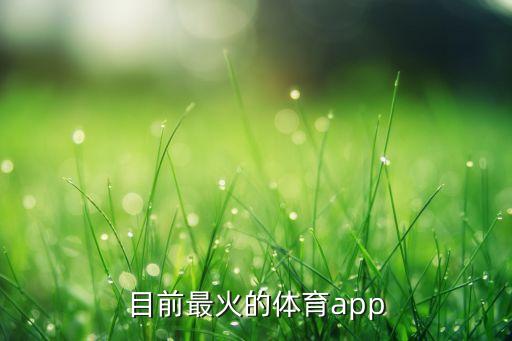 目前最火的體育app