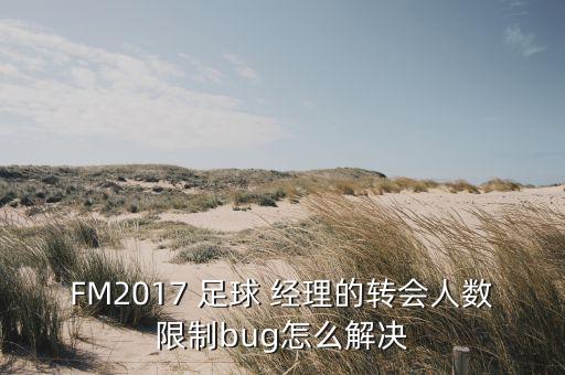 FM2017 足球 經(jīng)理的轉(zhuǎn)會(huì)人數(shù)限制bug怎么解決