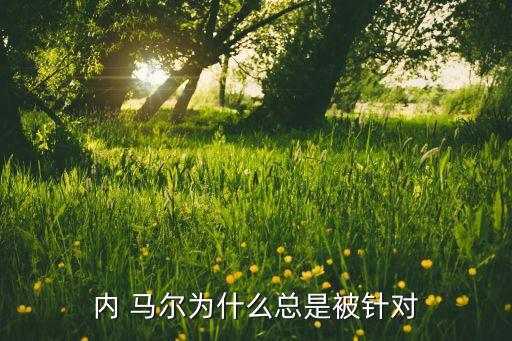 馬爾甲 足球,內(nèi)馬爾在足球界的地位