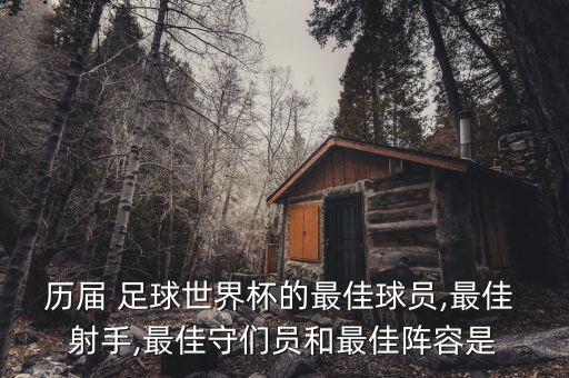 歷屆 足球世界杯的最佳球員,最佳 射手,最佳守們員和最佳陣容是