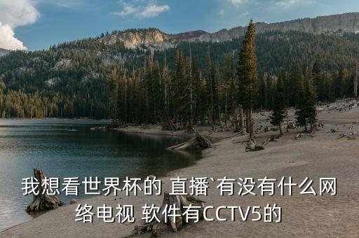 我想看世界杯的 直播`有沒有什么網(wǎng)絡(luò)電視 軟件有CCTV5的