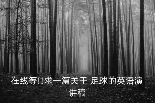 在線等!!求一篇關(guān)于 足球的英語(yǔ)演講稿