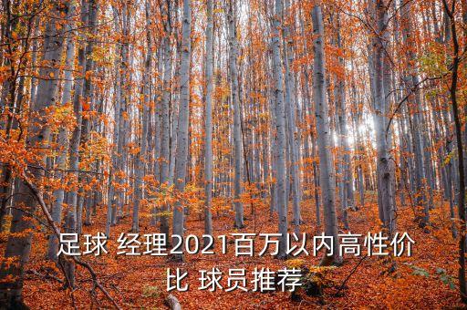  足球 經(jīng)理2021百萬(wàn)以內(nèi)高性價(jià)比 球員推薦