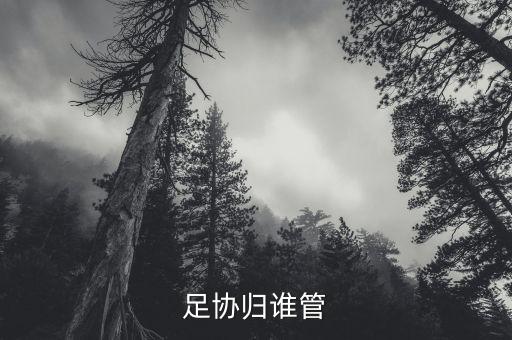 體育總局北控足球,中國體育總局足球運(yùn)動(dòng)管理中心