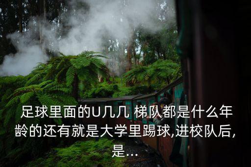  足球里面的U幾幾 梯隊都是什么年齡的還有就是大學(xué)里踢球,進校隊后,是...