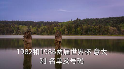 1982和1986兩屆世界杯 意大利 名單及號(hào)碼