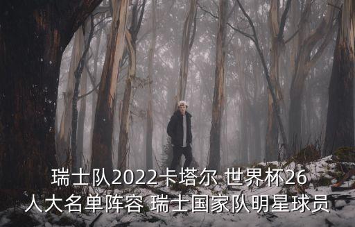  瑞士隊(duì)2022卡塔爾 世界杯26人大名單陣容 瑞士國家隊(duì)明星球員