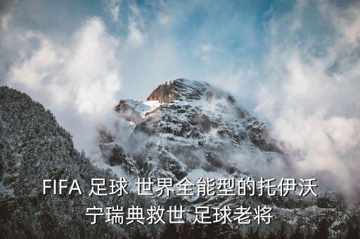 fifa足球世界 休斯