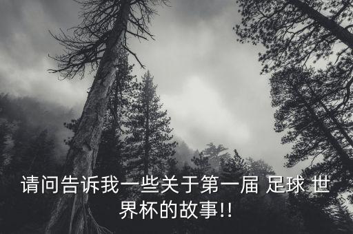 請(qǐng)問(wèn)告訴我一些關(guān)于第一屆 足球 世界杯的故事!!