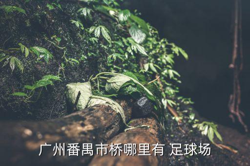 深圳西麗足球