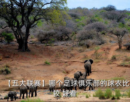 【五大聯(lián)賽】哪個足球俱樂部的球衣比較 好看