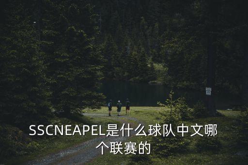 SSCNEAPEL是什么球隊中文哪個聯(lián)賽的