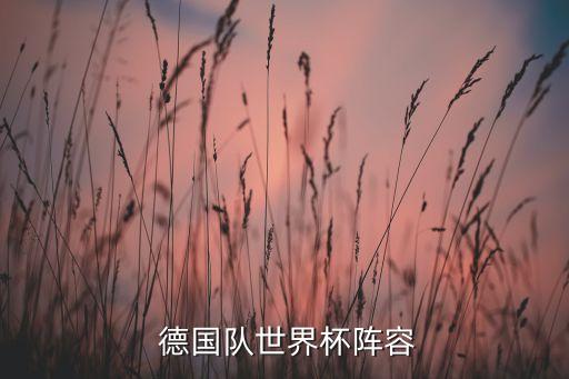 德國(guó)足球隊(duì)踢什么比賽,足球隊(duì)一年要踢多場(chǎng)比賽