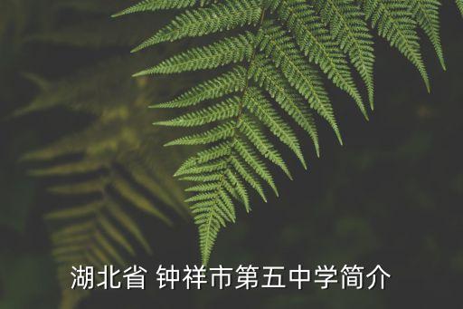 湖北省 鐘祥市第五中學簡介