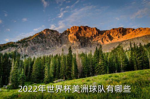 2022年世界杯美洲球隊(duì)有哪些