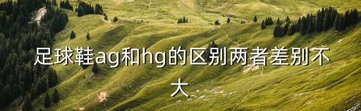 足球中后場(chǎng)球員選AG,足球球員號(hào)碼怎么選