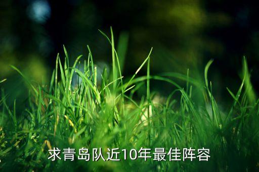 求青島隊(duì)近10年最佳陣容