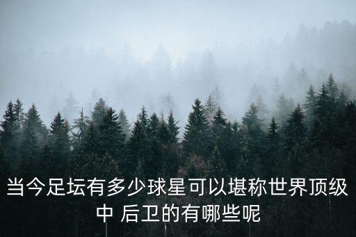 當今足壇有多少球星可以堪稱世界頂級中 后衛(wèi)的有哪些呢