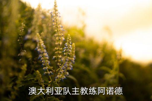 澳大利亞隊(duì)主教練阿諾德