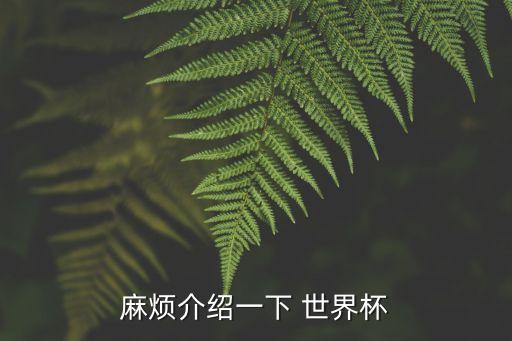 麻煩介紹一下 世界杯