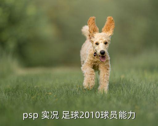 psp 實(shí)況 足球2010球員能力