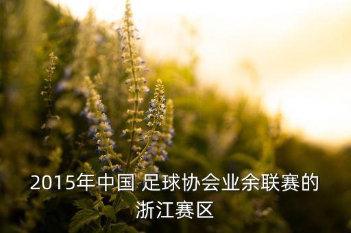 2015年中國 足球協(xié)會業(yè)余聯(lián)賽的浙江賽區(qū)