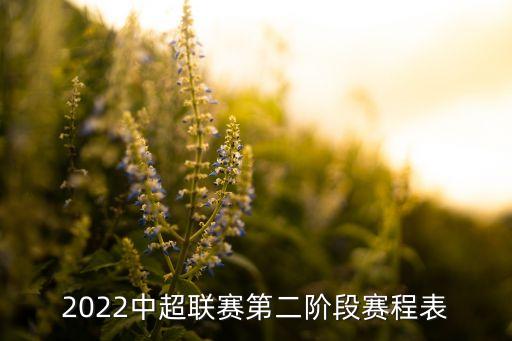 2022中超聯(lián)賽第二階段賽程表