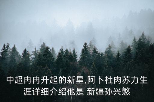 中超冉冉升起的新星,阿卜杜肉蘇力生涯詳細(xì)介紹他是 新疆孫興慜