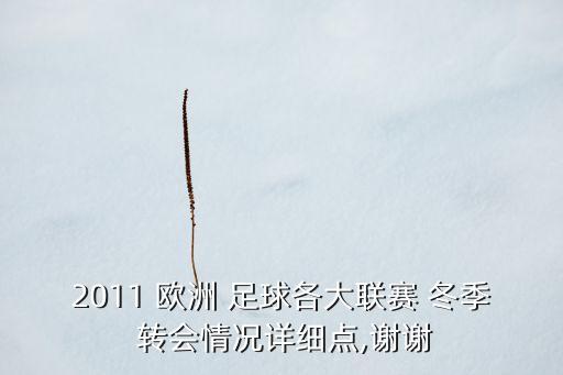 2011 歐洲 足球各大聯(lián)賽 冬季 轉(zhuǎn)會(huì)情況詳細(xì)點(diǎn),謝謝