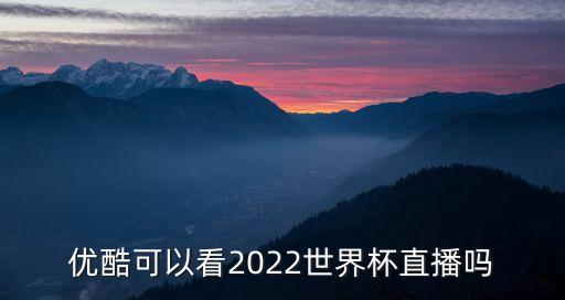 優(yōu)酷可以看2022世界杯直播嗎