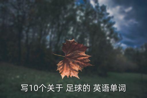 足球相關(guān)英語詞匯,關(guān)于足球世界杯的英語詞匯