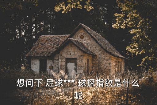 想問下 足球*** 球探指數(shù)是什么呢