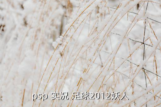 psp 實(shí)況 足球2012妖人