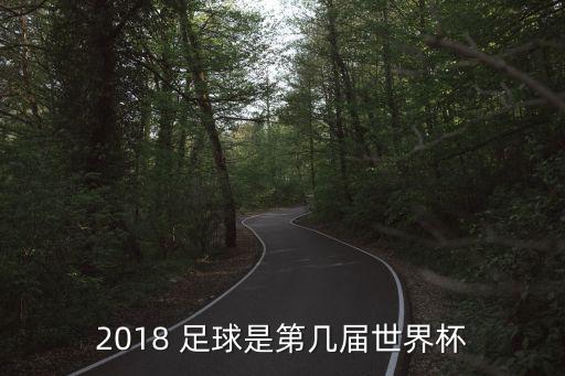 2018 足球是第幾屆世界杯